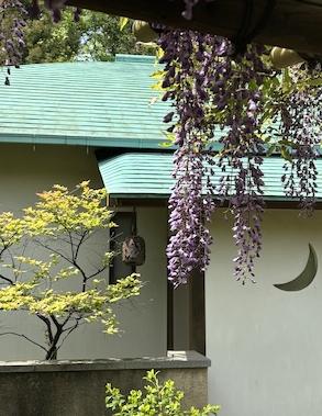 フィオーレの森に咲く花々